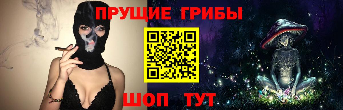 Псилоцибиновые грибы GOLDEN TEACHER Чистополь